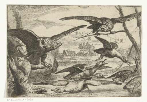 Birds of prey