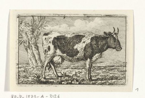 Spotted Cow