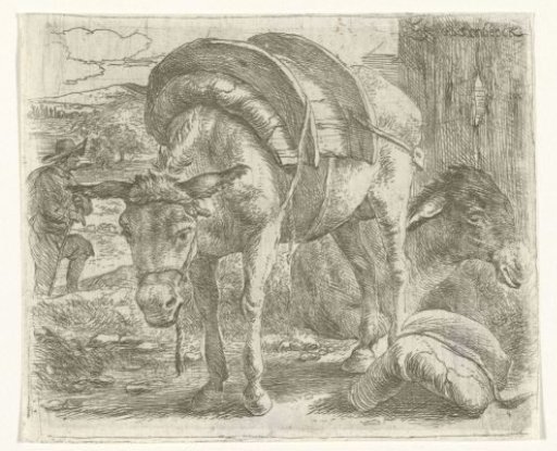 Pack donkey