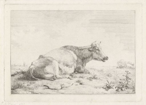 Reclining cow with thistle