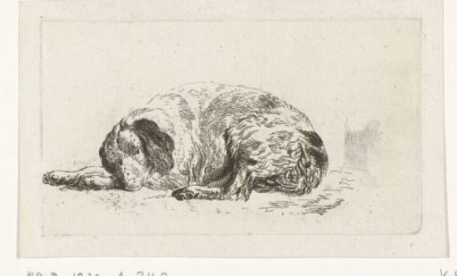 Reclining dog