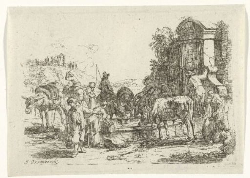 Cattle drinking at a spring