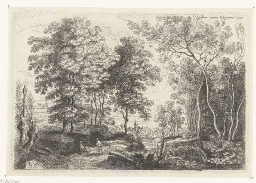 Landscape with a brook through a forest