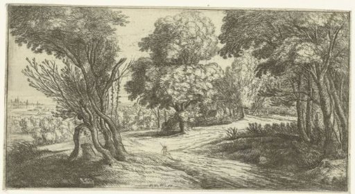 Wooded landscape