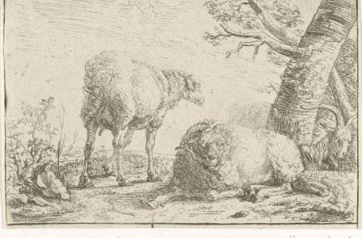 Two sheep and a goat