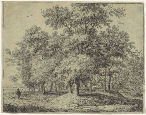 Man with a Dog in a Forest