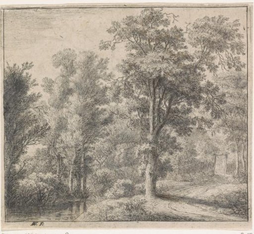 Entrance to the Forest