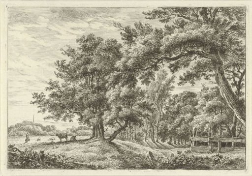 Landscape with two cows in the shade