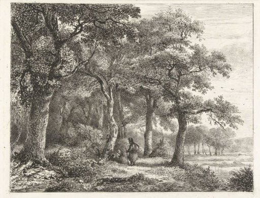 Forest landscape with a man with a backpack