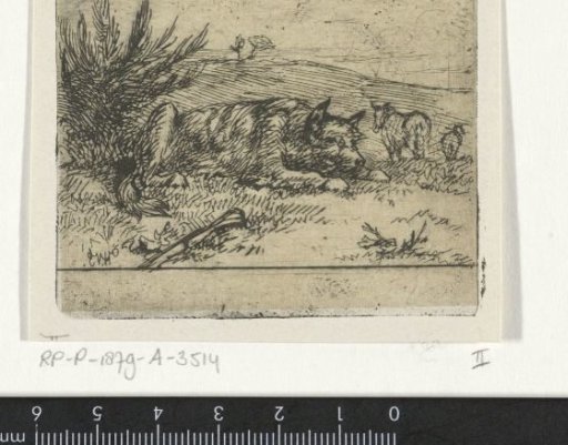 Lying shepherd dog