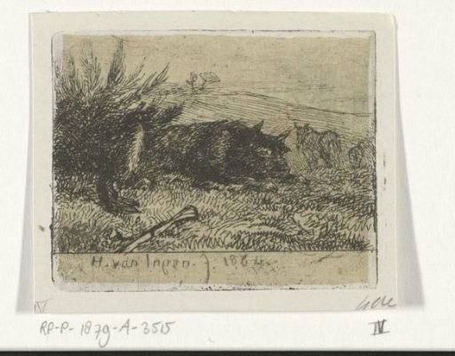 Lying shepherd dog