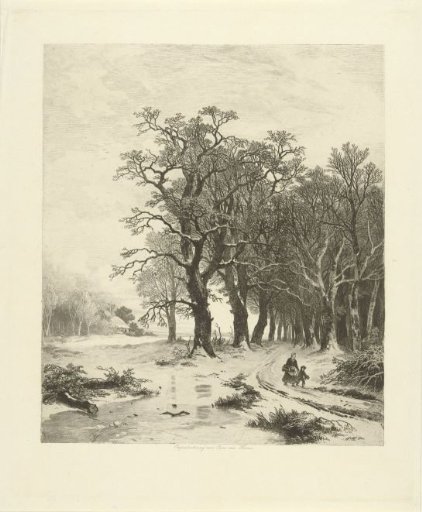 Winter Landscape
