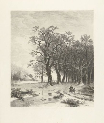 Winter Landscape