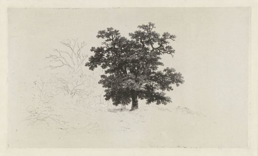Landscape with an oak tree