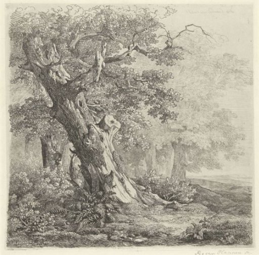 Tree in a landscape
