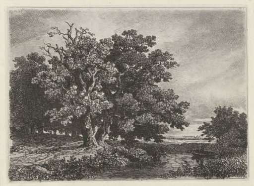 Trees by a pond with a small boat