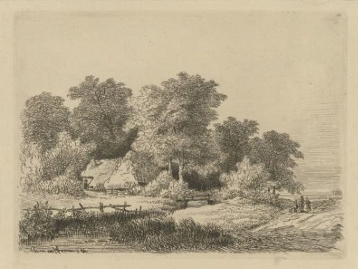 Group on a country road