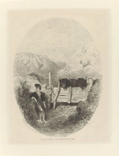 Scottish Shepherd