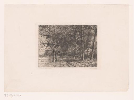 Wooded landscape with an avenue and a house among the trees on the right