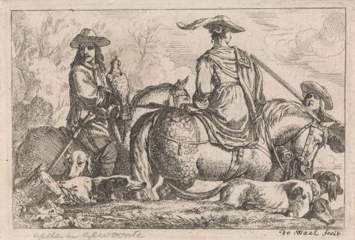 Falconry hunt