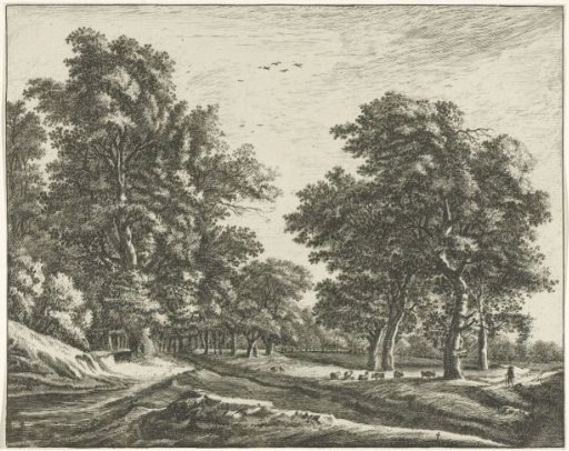 Clearing in the Haagse Bos