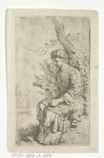 Woman with an Open Book Under a Tree