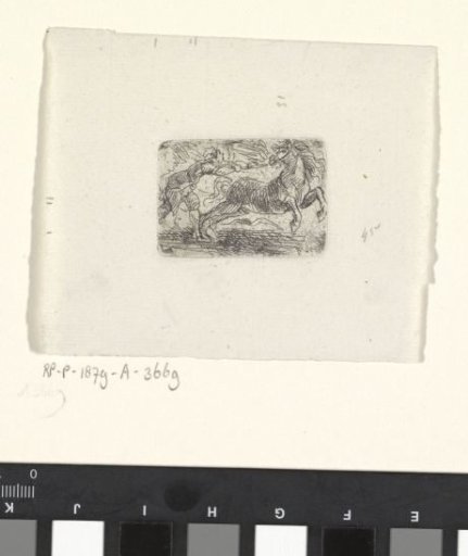 Man attempting to restrain a galloping horse