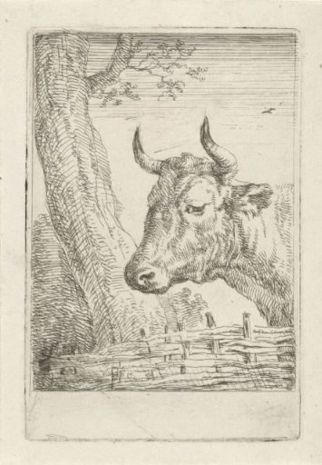 Cow by a Willow Fence