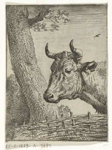 Cow's head to the left