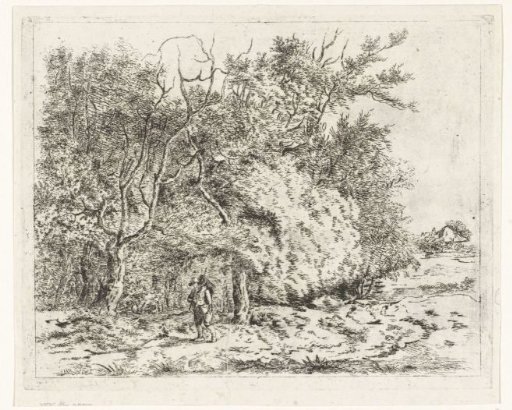 Walker along the edge of the forest