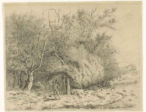 Walker along the edge of the forest