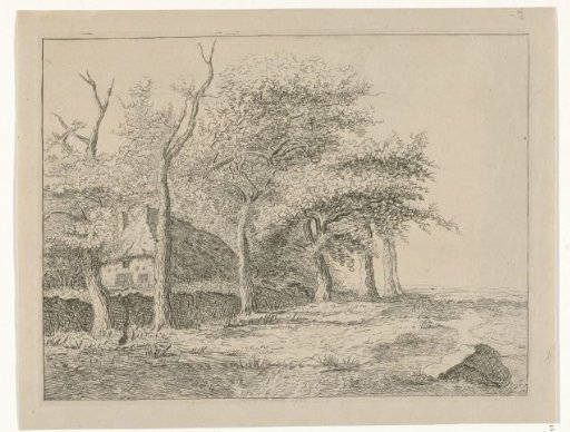 Row of trees