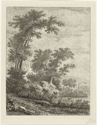 Landscape with tall trees