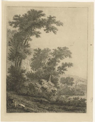 Landscape with tall trees