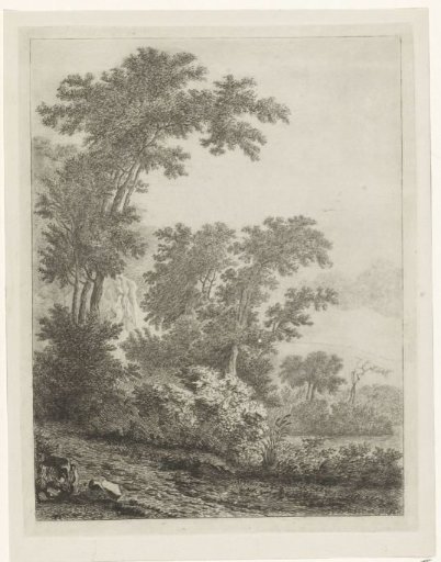 Landscape with tall trees