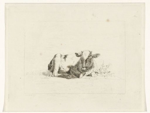 Lying cow