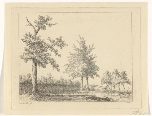 Trees