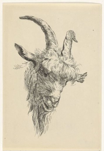 Head of a goat
