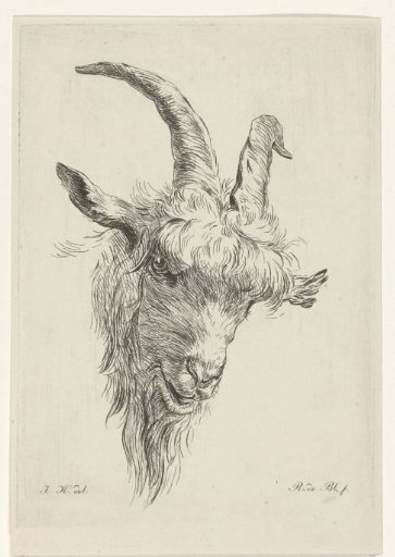 Head of a goat