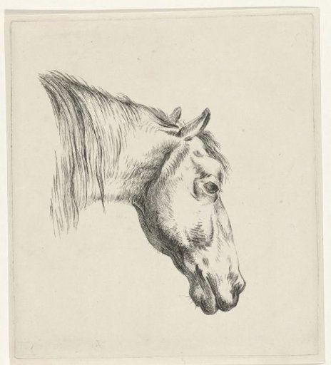Head of a horse