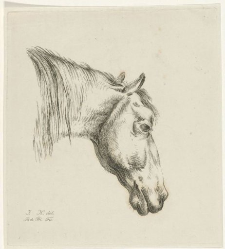 Head of a horse