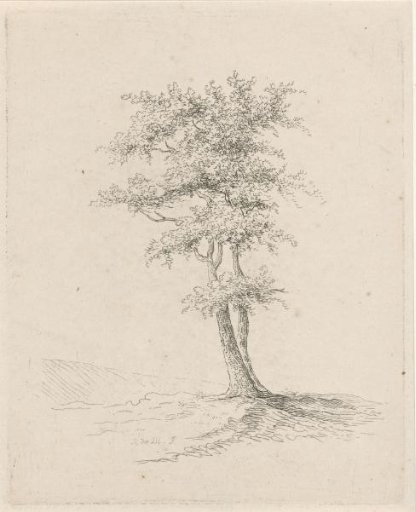 Two Trees