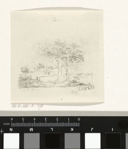 Landscape with Two Trees