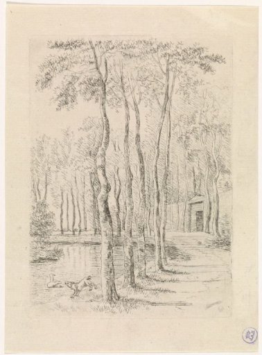 Birch Avenue
