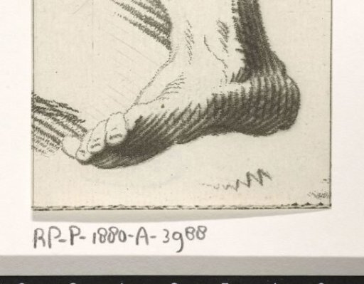Foot