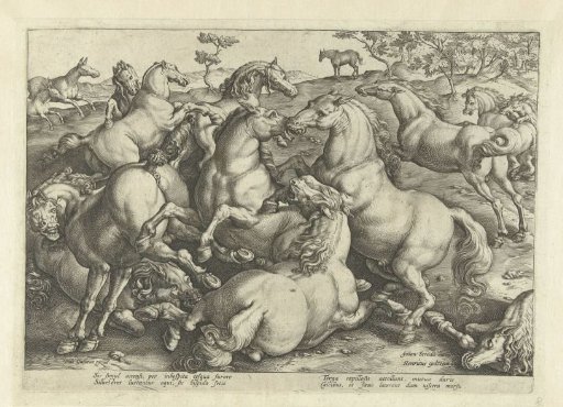 Twelve Fighting Horses