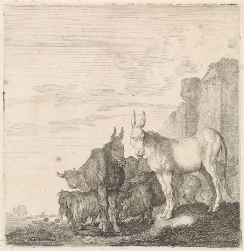 Donkeys by a Wall