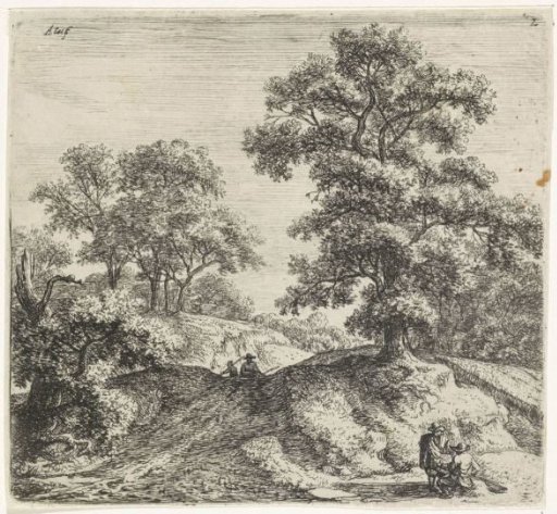 Large oak next to a path