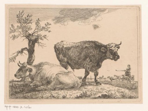 Two cattle by a pollard willow