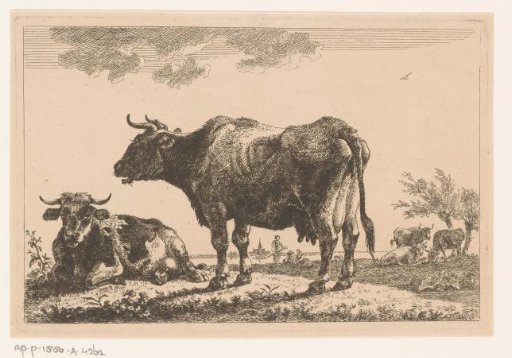 Two cattle in the meadow
